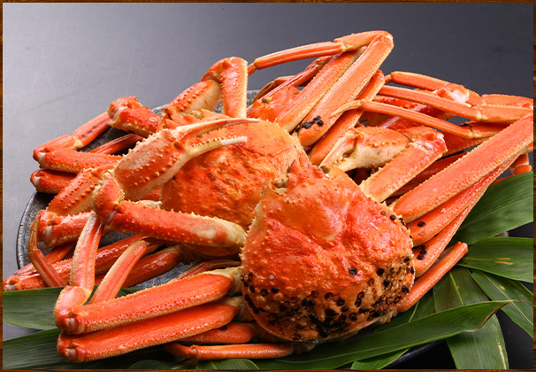 蟹
